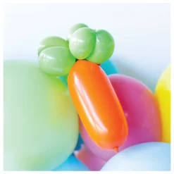 Carrot Mini Balloon Kit