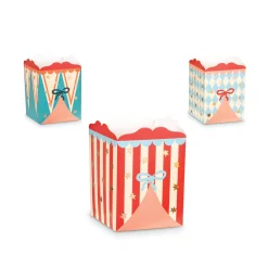 Circus Snack Boxes 6ct