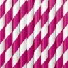 Dark Pink Striped Paper Straws