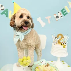 Dog Pawty Dessert Plates