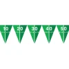 Football Field Pennant Banner 10.5ft