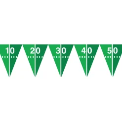 Football Field Pennant Banner 10.5ft