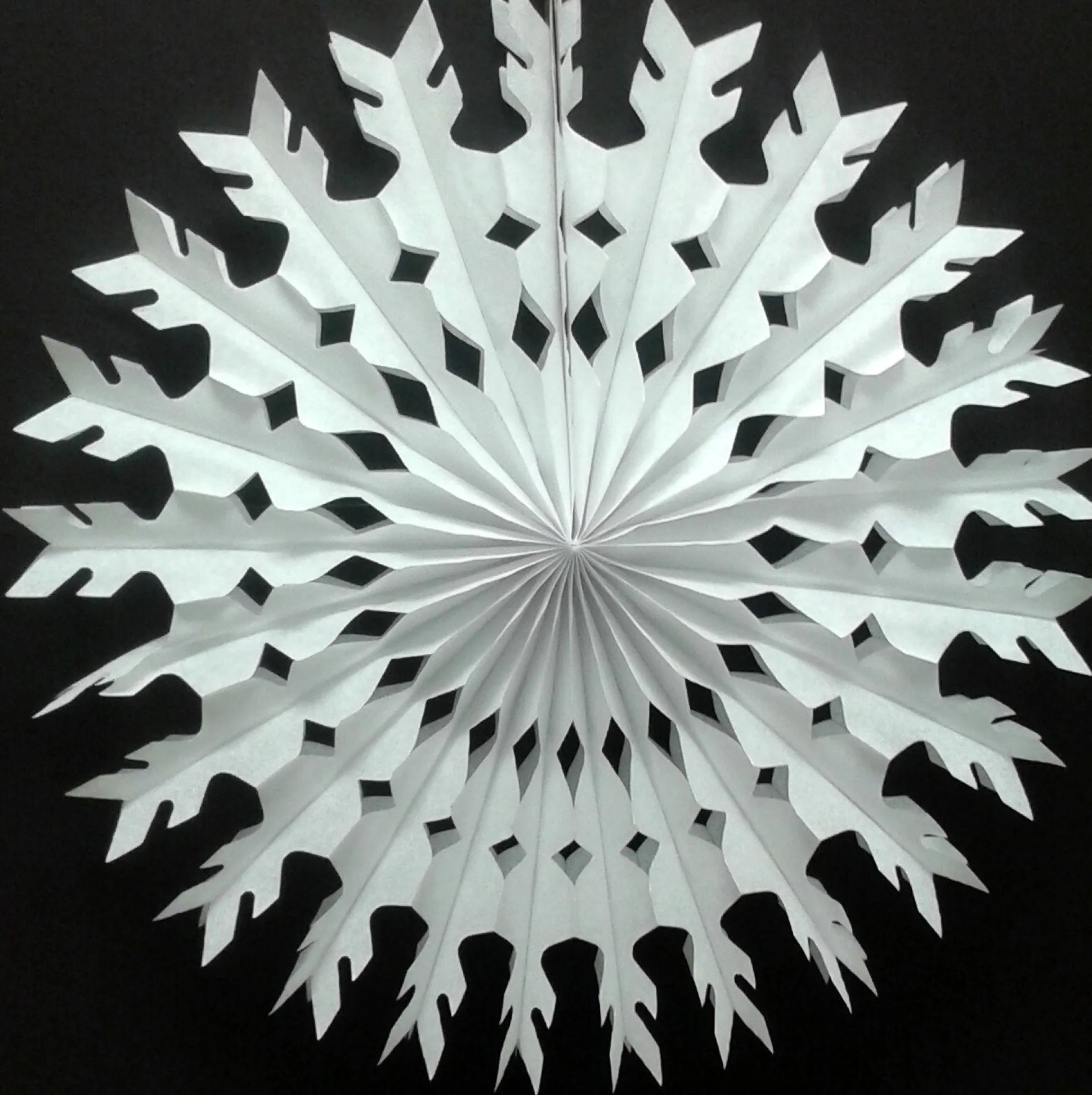 Large White Tissue Paper Snowflake 22in