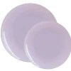 Lavender & Silver Rim Plastic Dinner Plates 10ct