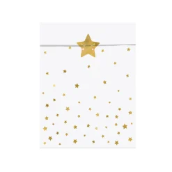 Little Star Treat Bags 6ct