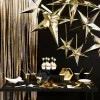 Matte Gold Fringe Curtain