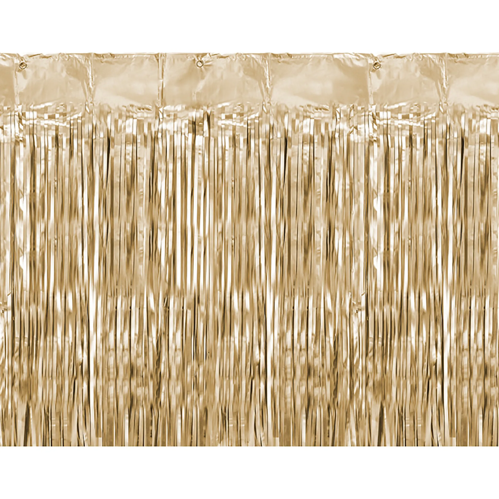 Matte Gold Fringe Curtain