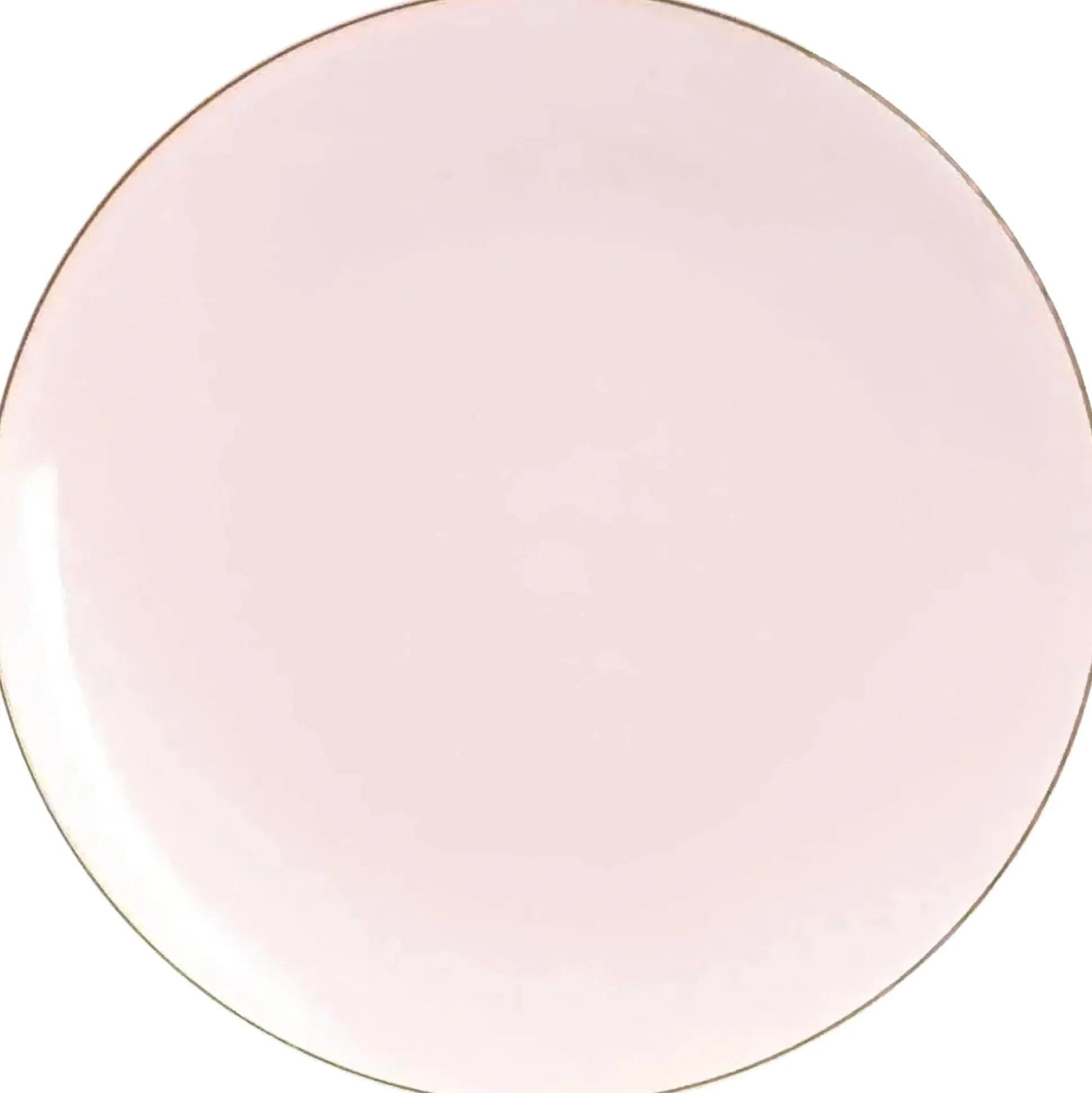 Pale Pink & Gold Rim Plastic Dinner Plates 10ct