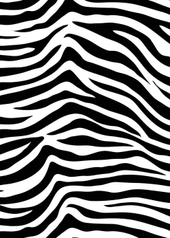 Party Animals Birthday Party Invitation