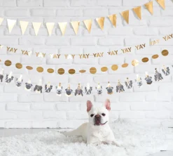 Party Animals Dog Banner 6ft