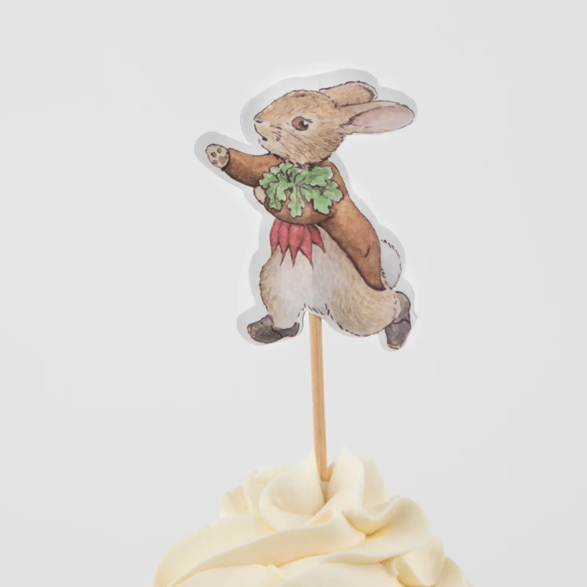 Peter Rabbit™ In The Garden Cupcake Decorating Kit 24ct