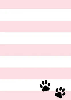 Purrfect Cat Pawty Birthday Invitation