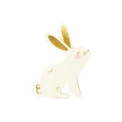 Spring Bunny Dessert Napkins 20ct