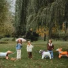 Standing Bulldog Dog Balloon 29.5in