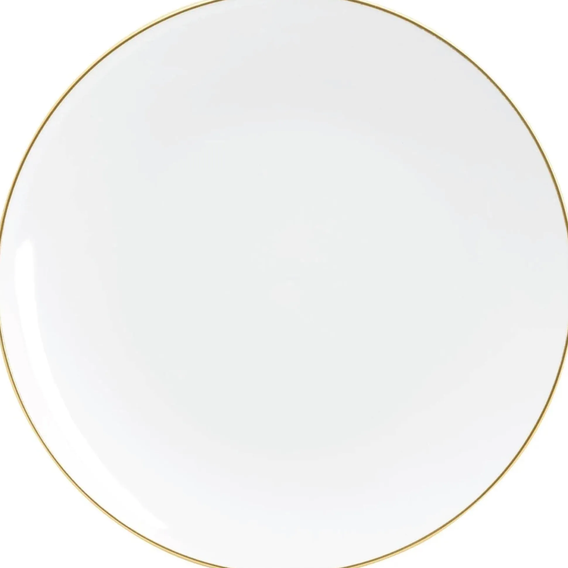 White With Gold Rim Plastic Dinner Plates 10ct